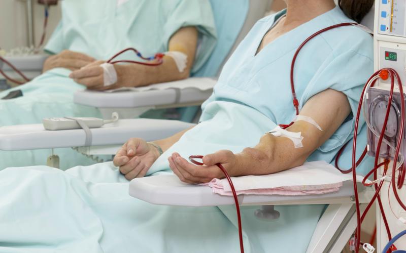 main of Dialysis Assists the Kidneys When They Have Failed